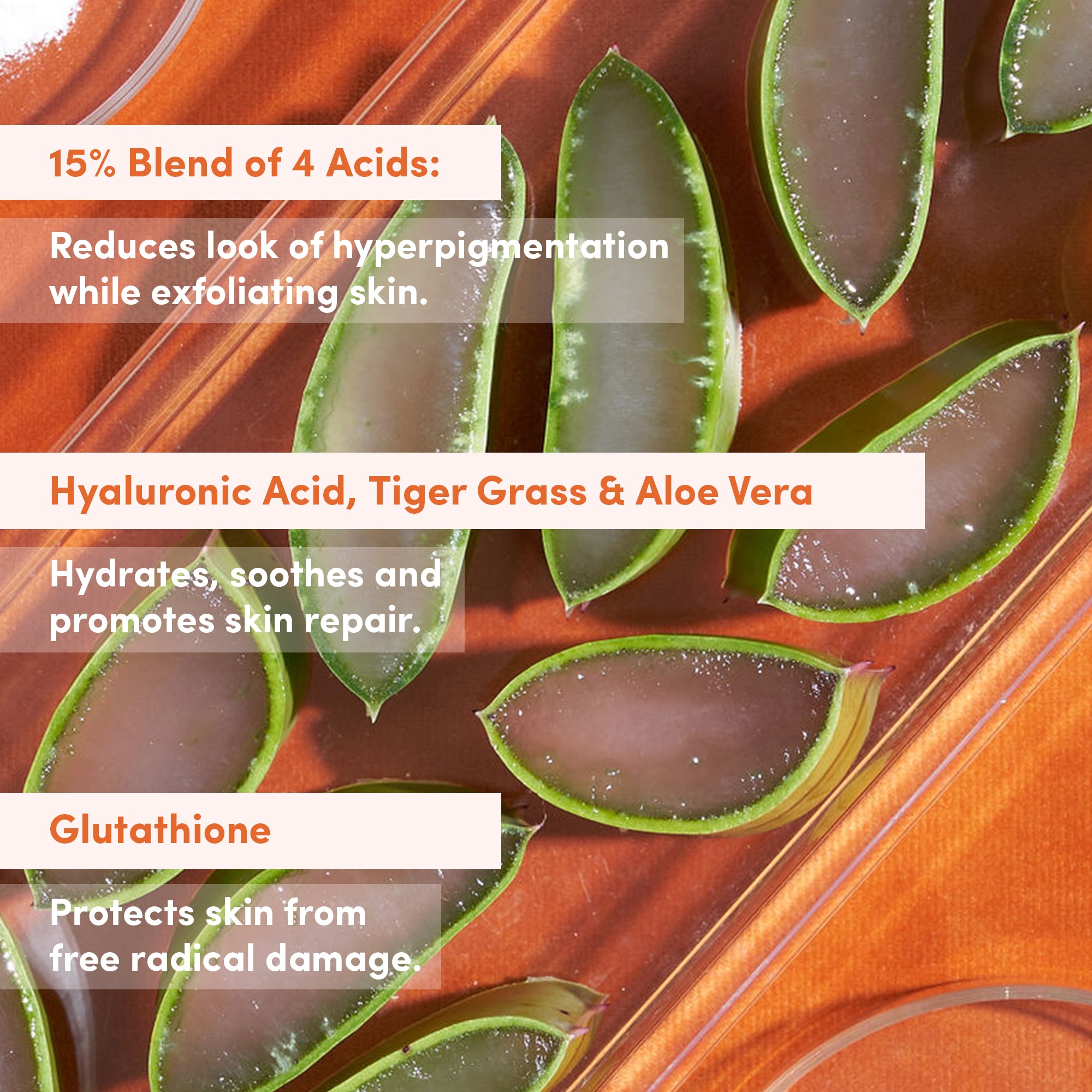 THE PLACENTA FACIAL Dark Spot Serum + Barrier Repair Cream Bundle