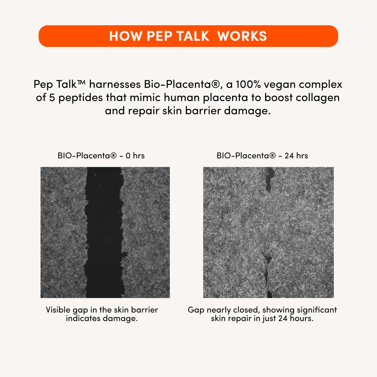 THIRST TRAP Barrier Repair + SPF Ultra-Hydration Bundle