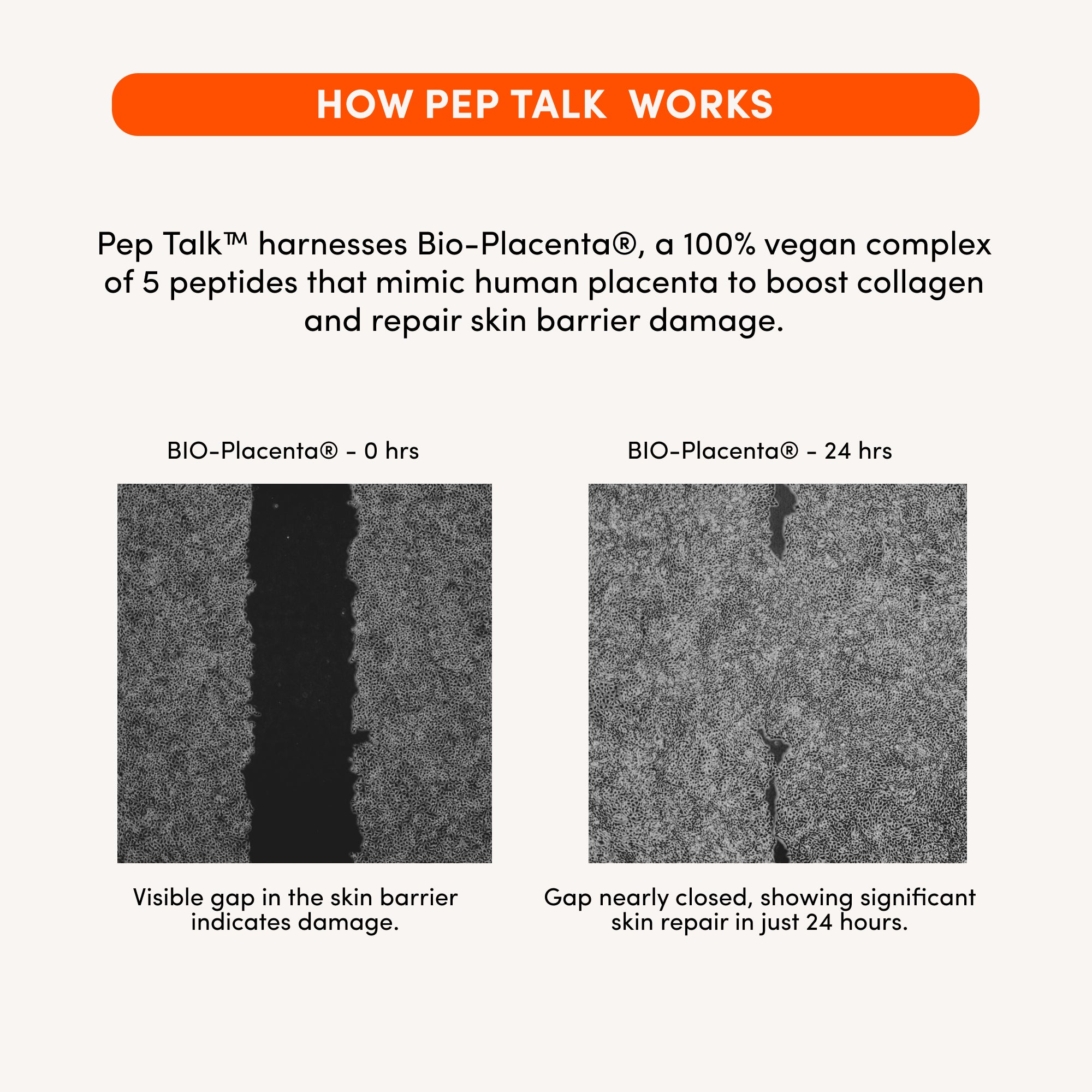 THIRST TRAP Barrier Repair + SPF Ultra-Hydration Bundle